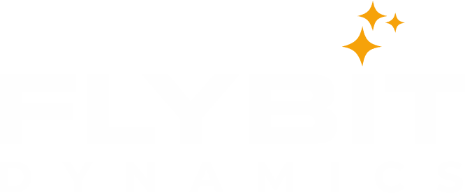 FLYBIT Team